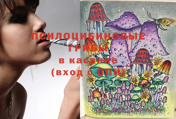 марихуана Белокуриха